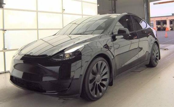 TESLA MODEL Y 2023 7SAYGDEF9PF749574 image